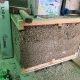 case-pasive-hempcrete-canepa-smart (5)