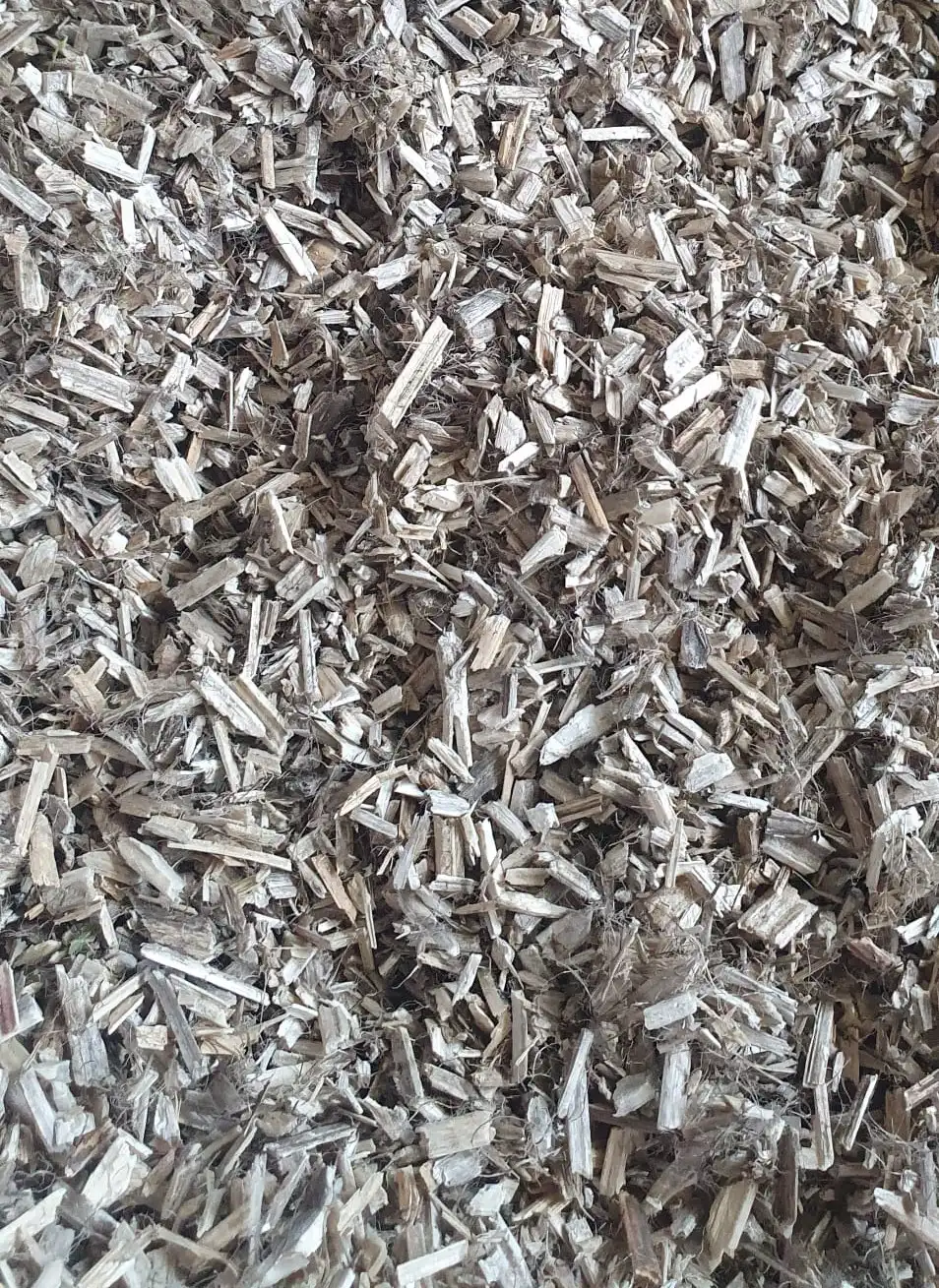 hempcrete-pret-canepa-constructii (2)